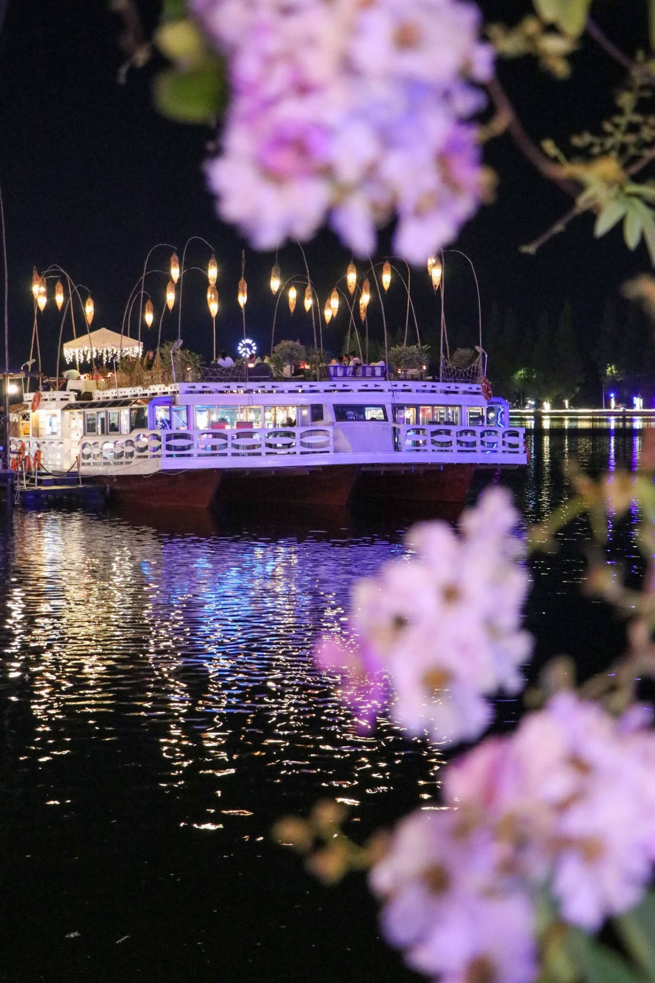 The Kdam Kampot boat lit up at night on the river, framed by blossom